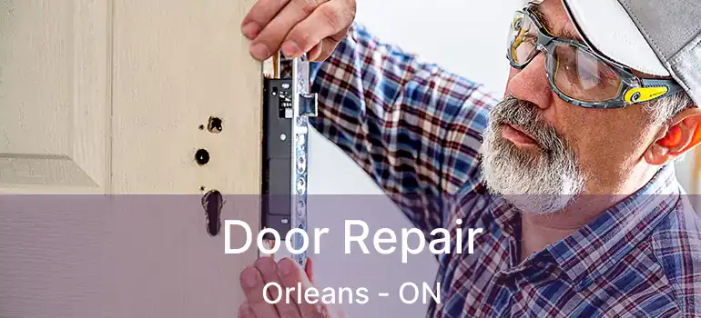  Door Repair Orleans - ON
