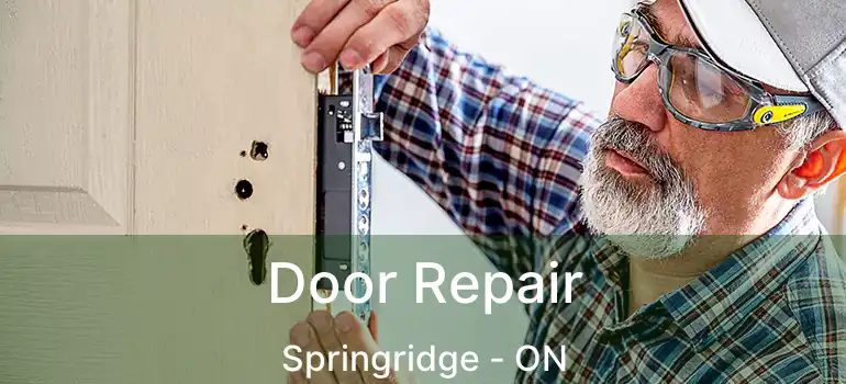  Door Repair Springridge - ON
