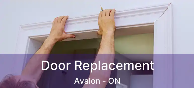  Door Replacement Avalon - ON