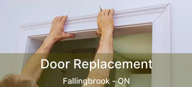  Door Replacement Fallingbrook - ON
