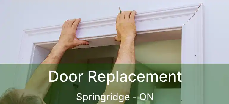  Door Replacement Springridge - ON