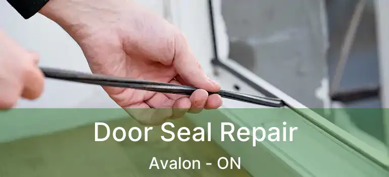  Door Seal Repair Avalon - ON