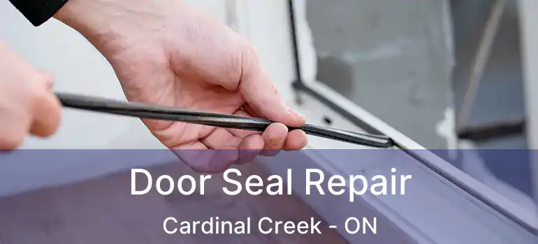  Door Seal Repair Cardinal Creek - ON