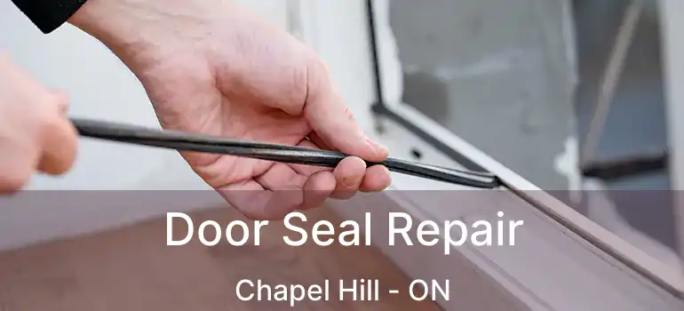  Door Seal Repair Chapel Hill - ON