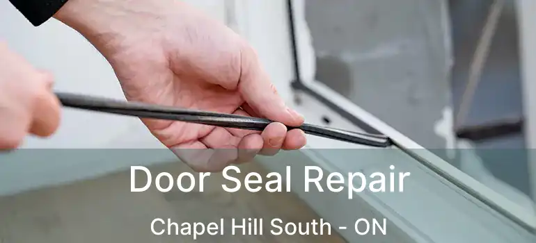  Door Seal Repair Chapel Hill South - ON
