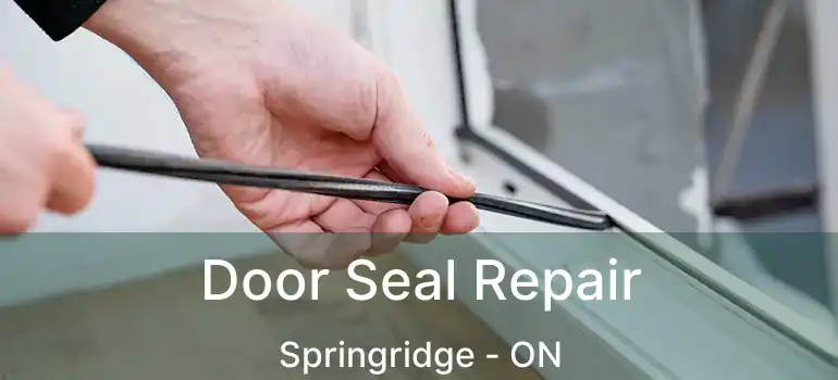  Door Seal Repair Springridge - ON