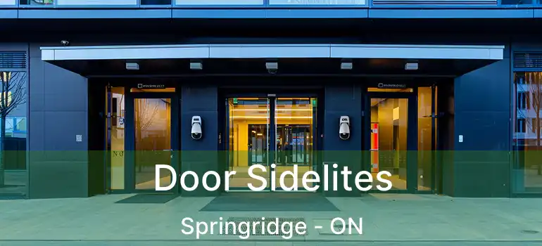  Door Sidelites Springridge - ON
