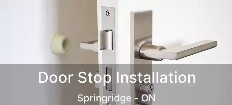  Door Stop Installation Springridge - ON