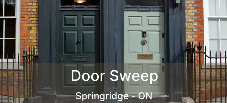  Door Sweep Springridge - ON