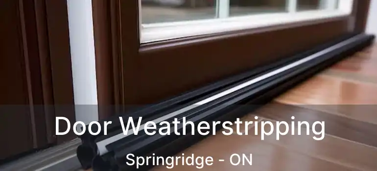  Door Weatherstripping Springridge - ON