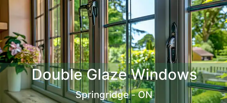 Double Glaze Windows Springridge - ON
