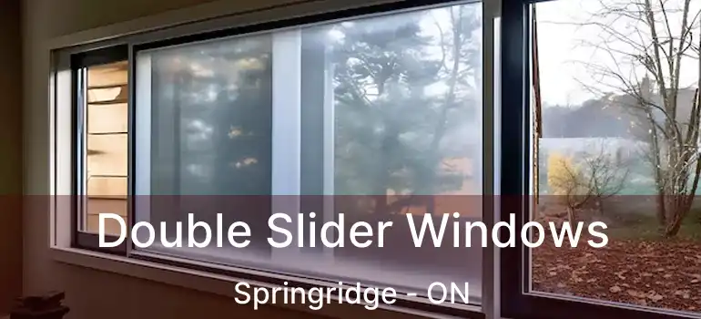  Double Slider Windows Springridge - ON