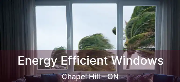  Energy Efficient Windows Chapel Hill - ON