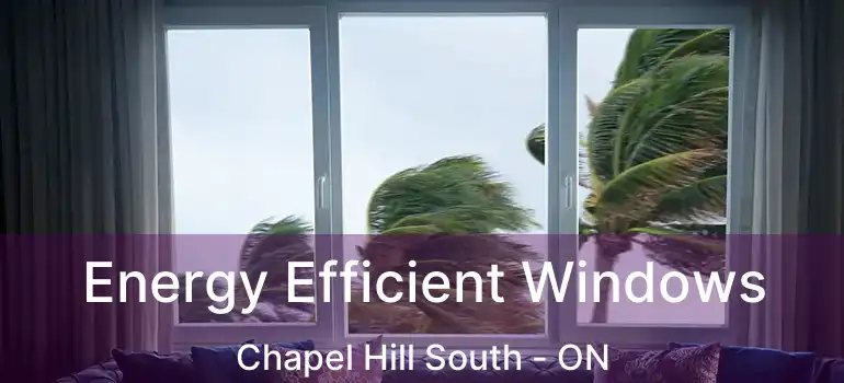  Energy Efficient Windows Chapel Hill South - ON