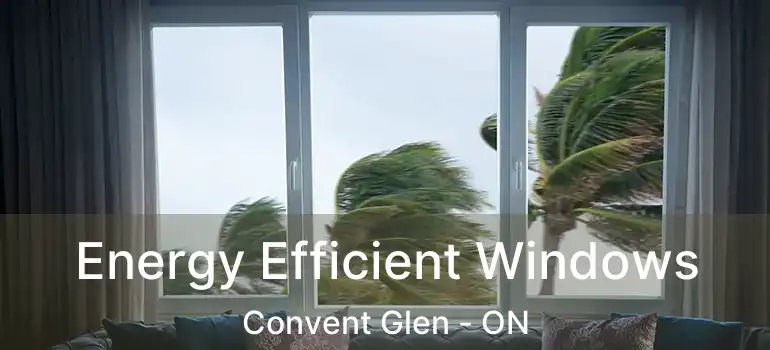 Energy Efficient Windows Convent Glen - ON