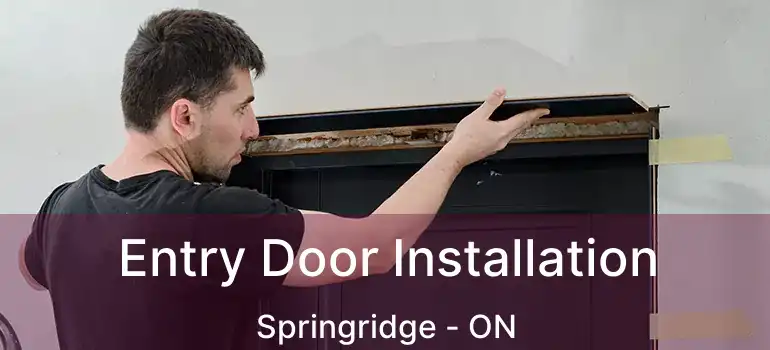  Entry Door Installation Springridge - ON