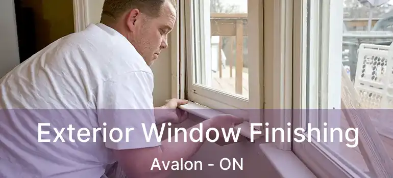  Exterior Window Finishing Avalon - ON