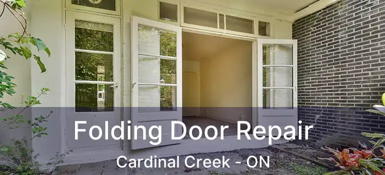  Folding Door Repair Cardinal Creek - ON