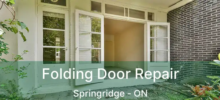  Folding Door Repair Springridge - ON