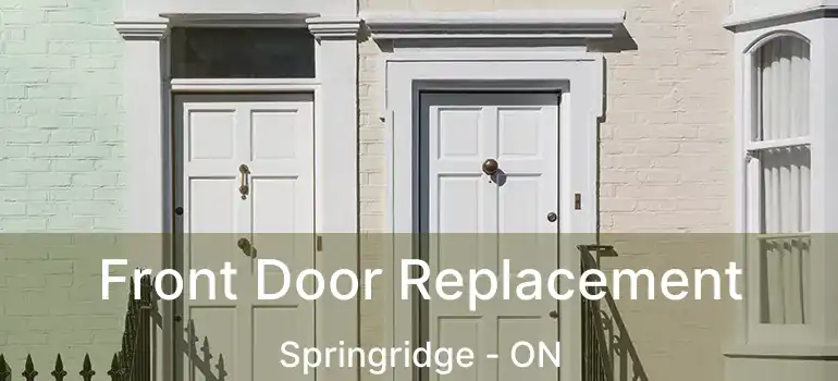  Front Door Replacement Springridge - ON