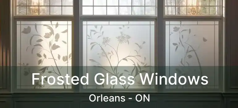  Frosted Glass Windows Orleans - ON
