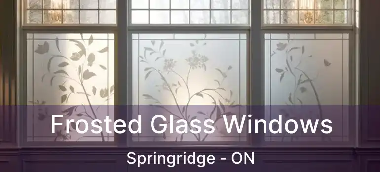  Frosted Glass Windows Springridge - ON