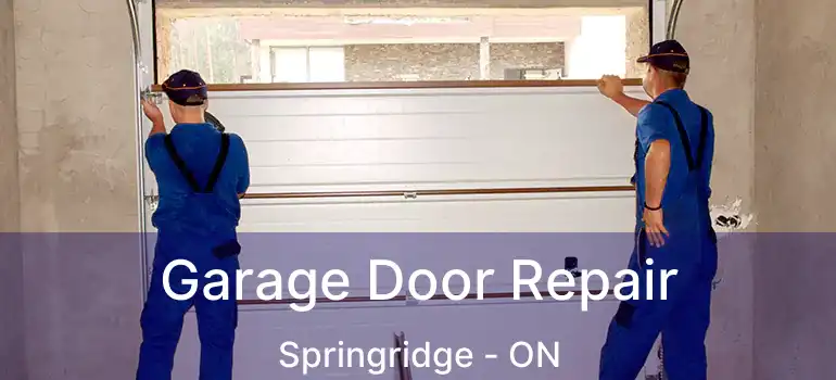  Garage Door Repair Springridge - ON
