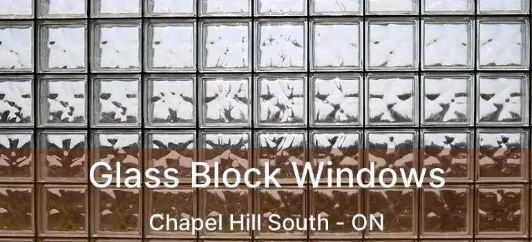  Glass Block Windows Chapel Hill South - ON