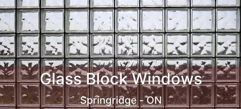  Glass Block Windows Springridge - ON