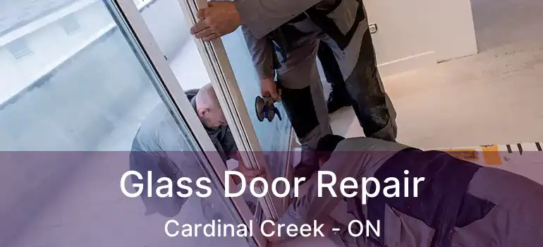  Glass Door Repair Cardinal Creek - ON