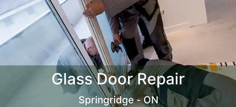  Glass Door Repair Springridge - ON