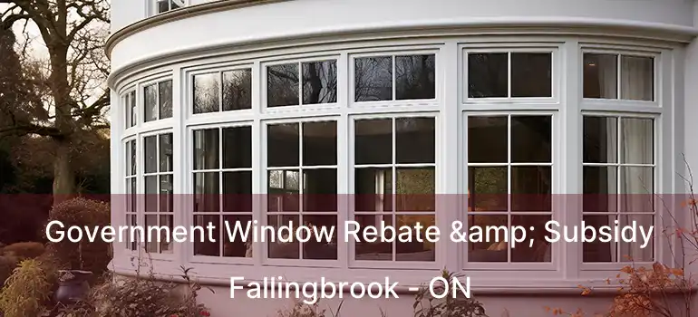  Government Window Rebate & Subsidy Fallingbrook - ON
