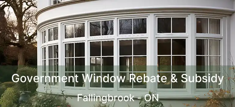  Government Window Rebate & Subsidy Fallingbrook - ON