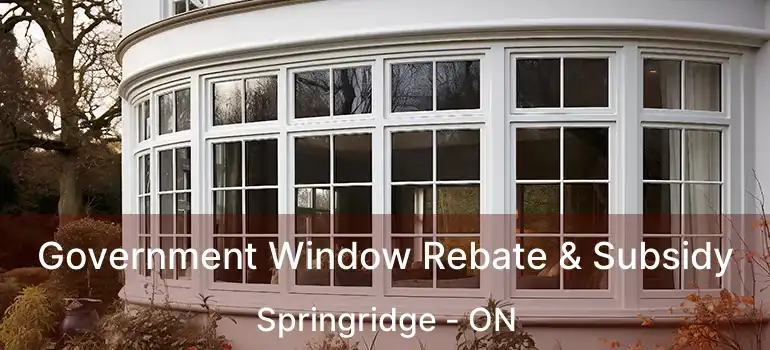  Government Window Rebate & Subsidy Springridge - ON
