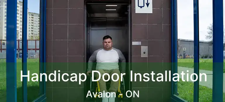  Handicap Door Installation Avalon - ON