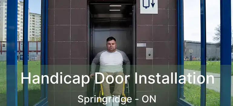  Handicap Door Installation Springridge - ON