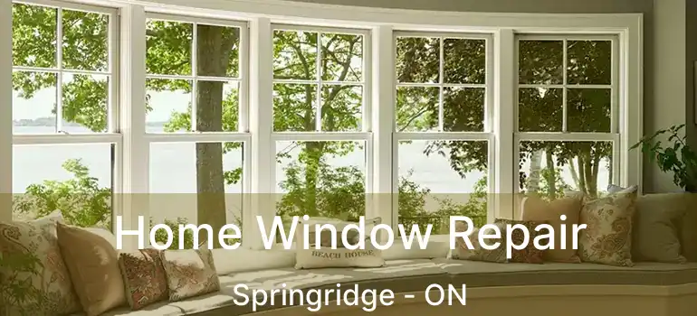  Home Window Repair Springridge - ON