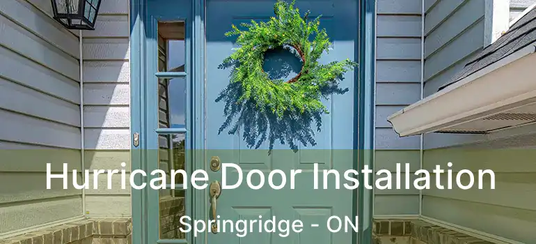  Hurricane Door Installation Springridge - ON