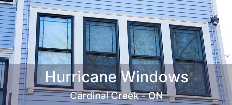  Hurricane Windows Cardinal Creek - ON