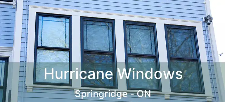  Hurricane Windows Springridge - ON