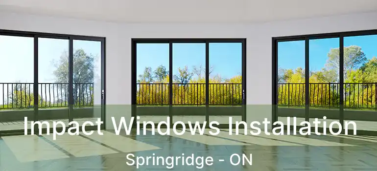  Impact Windows Installation Springridge - ON