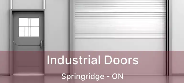  Industrial Doors Springridge - ON