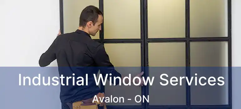  Industrial Window Services Avalon - ON