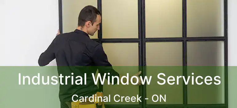  Industrial Window Services Cardinal Creek - ON