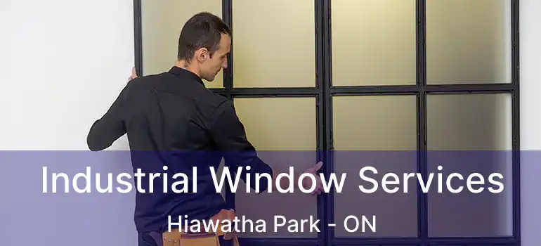  Industrial Window Services Hiawatha Park - ON
