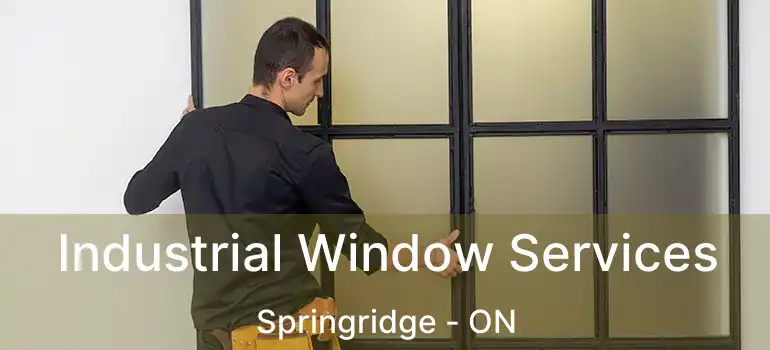 Industrial Window Services Springridge - ON