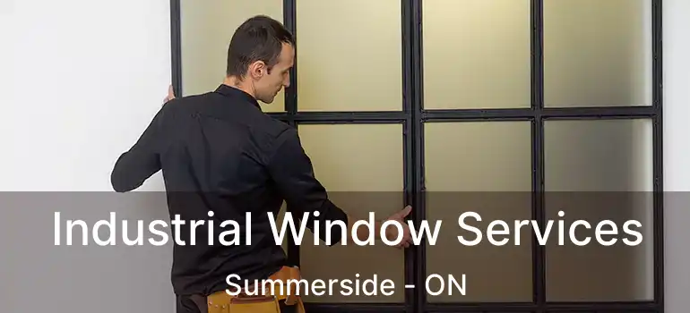  Industrial Window Services Summerside - ON