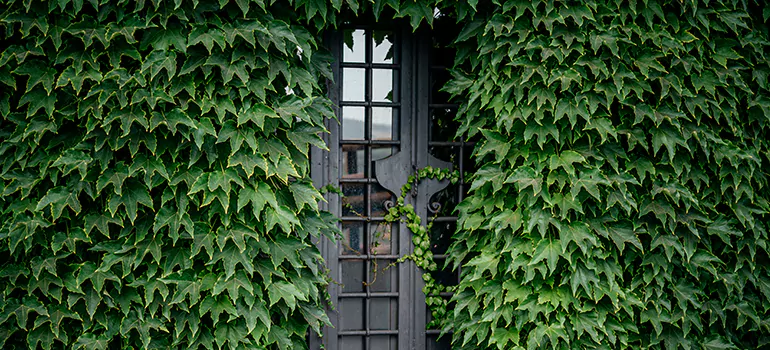Garden Gate Repair in Orleans, ON