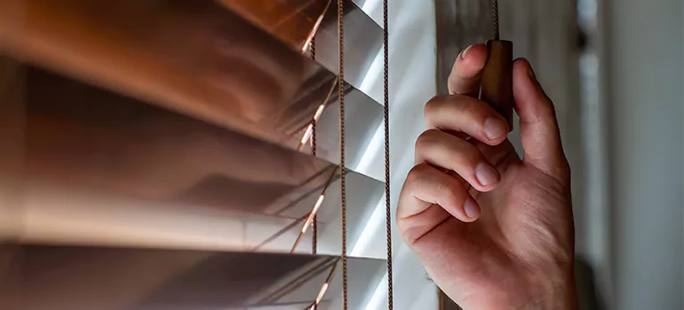Double Roller Blinds in Orleans, Ontario