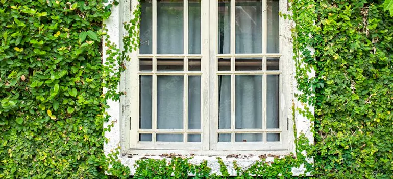 arden Window Repair Near Me in Orleans, ON